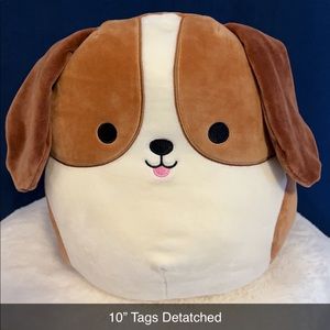 Squishmallow beagle puppy Tyree